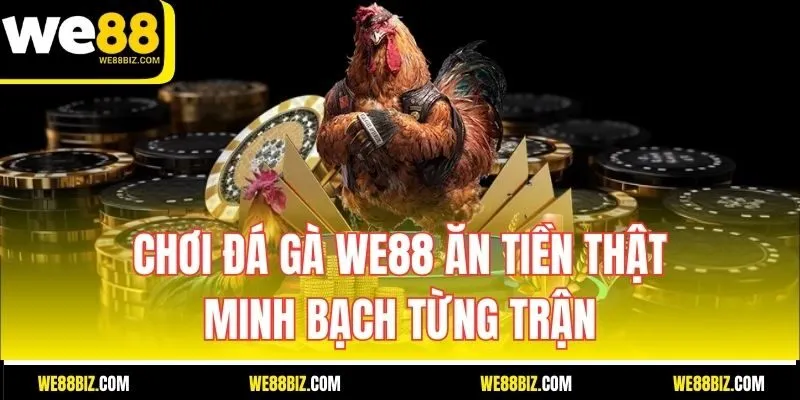 Chơi đá gà WE88 ăn tiền thật, minh bạch từng trận