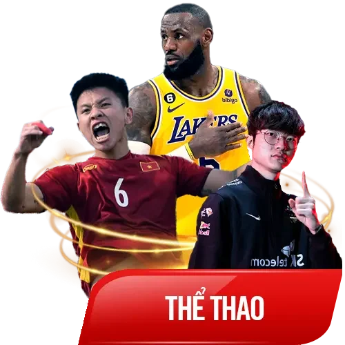 hình thể thao we88